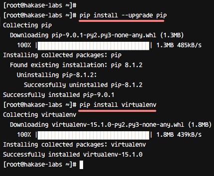 Install pip